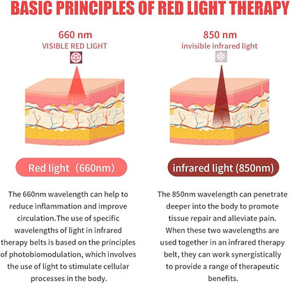 RedWave Therapy Healing Belt